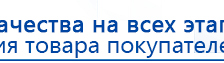 ДЭНАС - Аппликатор купить в Арамиле, Электроды Дэнас купить в Арамиле, Дэнас официальный сайт denasdoctor.ru